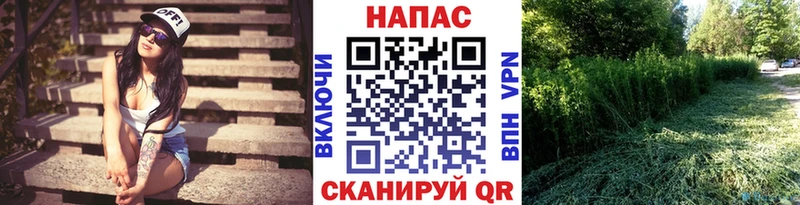 Бошки марихуана SATIVA & INDICA Кола